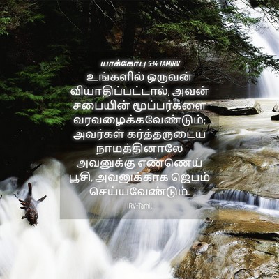 Picture 04 - யாக்கோபு 5:14 TAMIRV - உங்களில் ஒருவன் - Bible Verse Picture