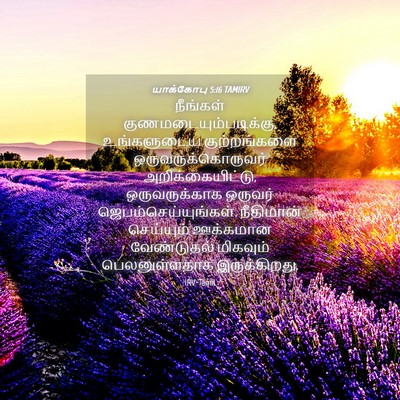 Picture 04 - யாக்கோபு 5:16 TAMIRV - நீங்கள் - Bible Verse Picture
