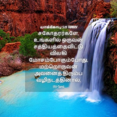 Picture 04 - யாக்கோபு 5:19 TAMIRV - சகோதரர்களே, - Bible Verse Picture
