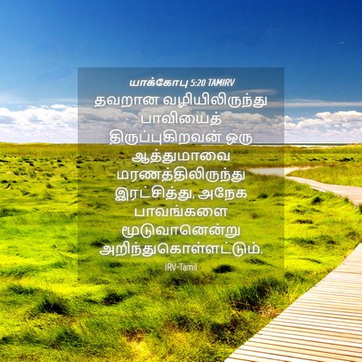 Picture 04 - யாக்கோபு 5:20 TAMIRV - தவறான - Bible Verse Picture