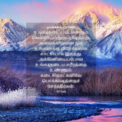 Picture 04 - யாக்கோபு 5:3 TAMIRV - உங்களுடைய - Bible Verse Picture