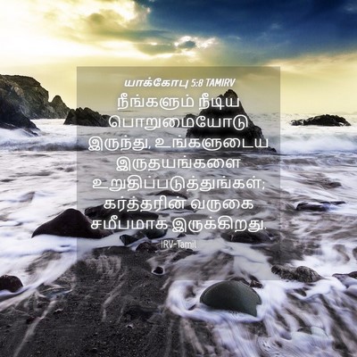 Picture 04 - யாக்கோபு 5:8 TAMIRV - நீங்களும் நீடிய - Bible Verse Picture