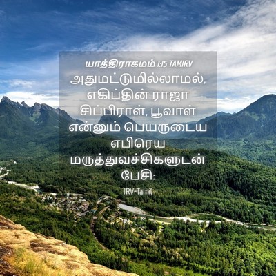 Picture 04 - யாத்திராகமம் 1:15 TAMIRV -  - Bible Verse Picture