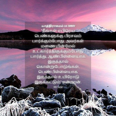 Picture 04 - யாத்திராகமம் 1:16 TAMIRV - “நீங்கள் எபிரெய - Bible Verse Picture