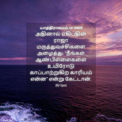 Picture 04 - யாத்திராகமம் 1:18 TAMIRV - அதினால் எகிப்தின் - Bible Verse Picture