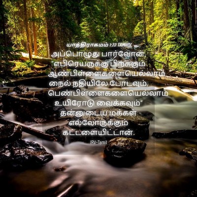 Picture 04 - யாத்திராகமம் 1:22 TAMIRV - அப்பொழுது - Bible Verse Picture