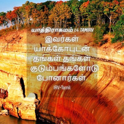 Picture 04 - யாத்திராகமம் 1:4 TAMIRV - இவர்கள் - Bible Verse Picture