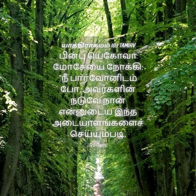 Picture 04 - யாத்திராகமம் 10:1 TAMIRV - பின்பு யெகோவா - Bible Verse Picture