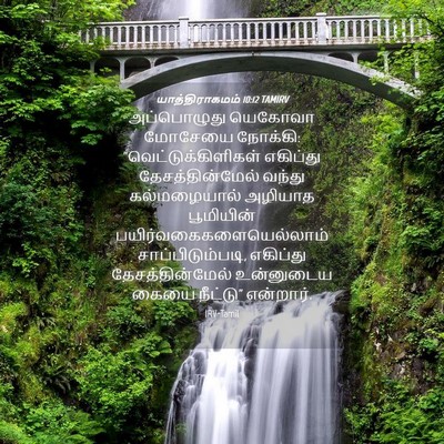 Picture 04 - யாத்திராகமம் 10:12 TAMIRV - அப்பொழுது யெகோவா - Bible Verse Picture
