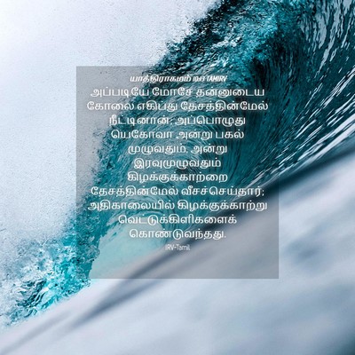 Picture 04 - யாத்திராகமம் 10:13 TAMIRV - அப்படியே மோசே - Bible Verse Picture