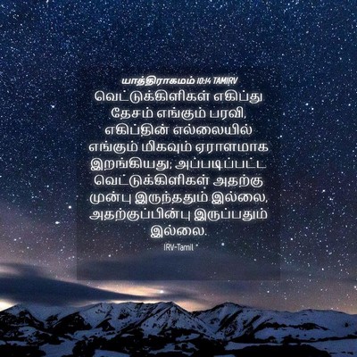 Picture 04 - யாத்திராகமம் 10:14 TAMIRV - வெட்டுக்கிளிகள் - Bible Verse Picture