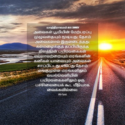 Picture 04 - யாத்திராகமம் 10:15 TAMIRV - அவைகள் பூமியின் - Bible Verse Picture