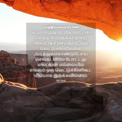 Picture 04 - யாத்திராகமம் 10:19 TAMIRV - அப்பொழுது யெகோவா - Bible Verse Picture