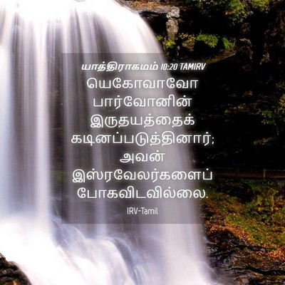 Picture 04 - யாத்திராகமம் 10:20 TAMIRV - யெகோவாவோ - Bible Verse Picture