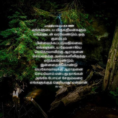 Picture 04 - யாத்திராகமம் 10:26 TAMIRV - எங்களுடைய - Bible Verse Picture