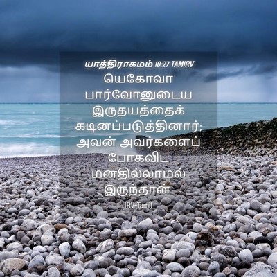 Picture 04 - யாத்திராகமம் 10:27 TAMIRV - யெகோவா - Bible Verse Picture