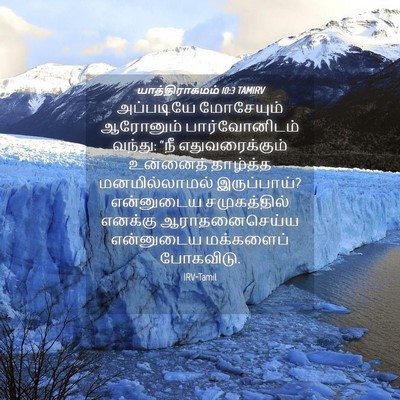 Picture 04 - யாத்திராகமம் 10:3 TAMIRV - அப்படியே மோசேயும் - Bible Verse Picture