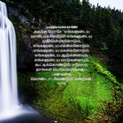 Picture 04 - யாத்திராகமம் 10:9 TAMIRV - அதற்கு மோசே: - Bible Verse Picture