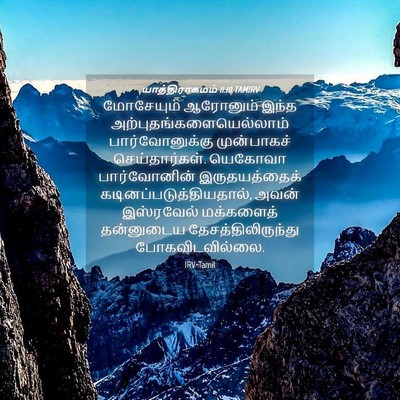 Picture 04 - யாத்திராகமம் 11:10 TAMIRV - மோசேயும் ஆரோனும் - Bible Verse Picture