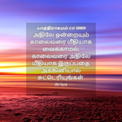 Picture 04 - யாத்திராகமம் 12:10 TAMIRV - அதிலே ஒன்றையும் - Bible Verse Picture