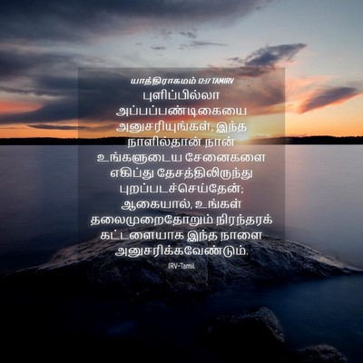 Picture 04 - யாத்திராகமம் 12:17 TAMIRV - புளிப்பில்லா - Bible Verse Picture