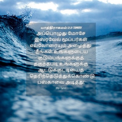 Picture 04 - யாத்திராகமம் 12:21 TAMIRV - அப்பொழுது மோசே - Bible Verse Picture