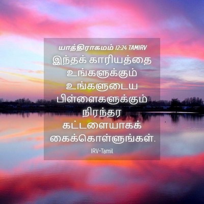 Picture 04 - யாத்திராகமம் 12:24 TAMIRV - இந்தக் காரியத்தை - Bible Verse Picture