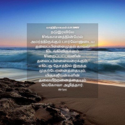 Picture 04 - யாத்திராகமம் 12:29 TAMIRV - நடுஇரவிலே - Bible Verse Picture
