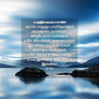 Picture 04 - யாத்திராகமம் 12:30 TAMIRV - அப்பொழுது - Bible Verse Picture