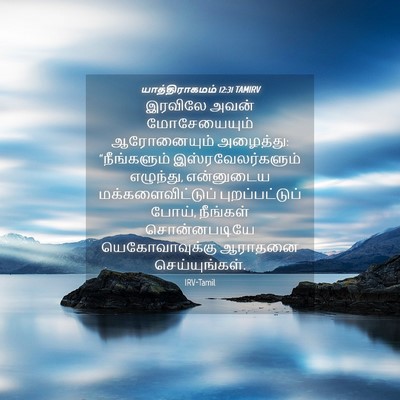 Picture 04 - யாத்திராகமம் 12:31 TAMIRV - இரவிலே அவன் - Bible Verse Picture