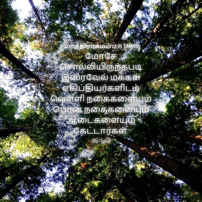 Picture 04 - யாத்திராகமம் 12:35 TAMIRV - மோசே - Bible Verse Picture