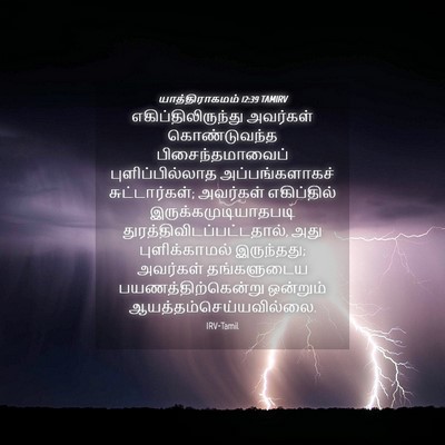 Picture 04 - யாத்திராகமம் 12:39 TAMIRV - எகிப்திலிருந்து - Bible Verse Picture