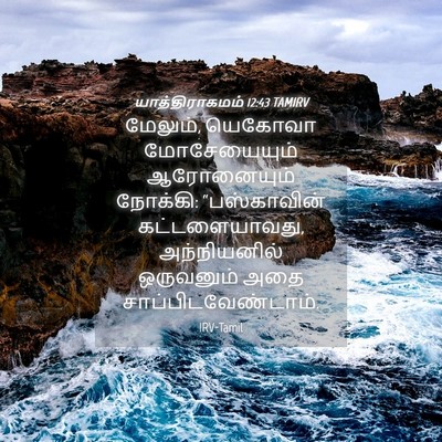 Picture 04 - யாத்திராகமம் 12:43 TAMIRV - மேலும், யெகோவா - Bible Verse Picture