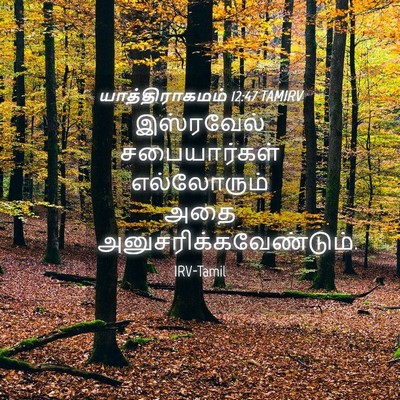 Picture 04 - யாத்திராகமம் 12:47 TAMIRV - இஸ்ரவேல் - Bible Verse Picture