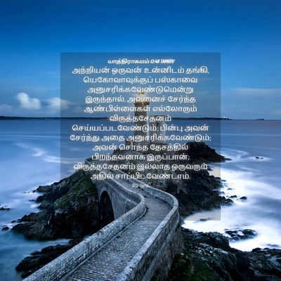 Picture 04 - யாத்திராகமம் 12:48 TAMIRV - அந்நியன் ஒருவன் - Bible Verse Picture