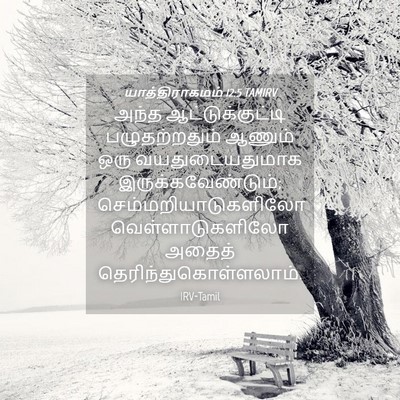 Picture 04 - யாத்திராகமம் 12:5 TAMIRV - அந்த - Bible Verse Picture
