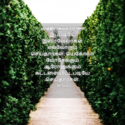 Picture 04 - யாத்திராகமம் 12:50 TAMIRV - இப்படியே - Bible Verse Picture