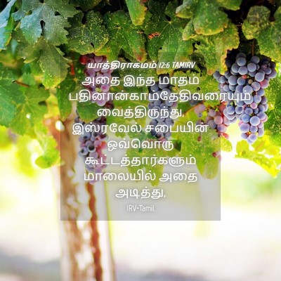 Picture 04 - யாத்திராகமம் 12:6 TAMIRV - அதை இந்த மாதம் - Bible Verse Picture