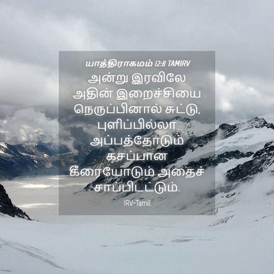 Picture 04 - யாத்திராகமம் 12:8 TAMIRV - அன்று இரவிலே - Bible Verse Picture