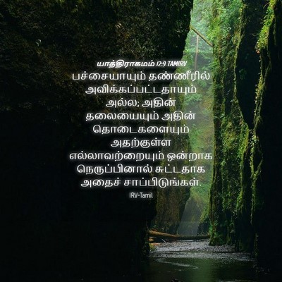 Picture 04 - யாத்திராகமம் 12:9 TAMIRV - பச்சையாயும் - Bible Verse Picture