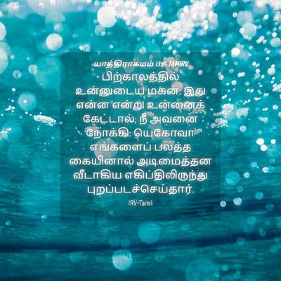 Picture 04 - யாத்திராகமம் 13:14 TAMIRV - பிற்காலத்தில் - Bible Verse Picture