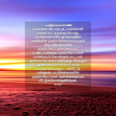 Picture 04 - யாத்திராகமம் 13:15 TAMIRV - எங்களை விடாதபடி, - Bible Verse Picture