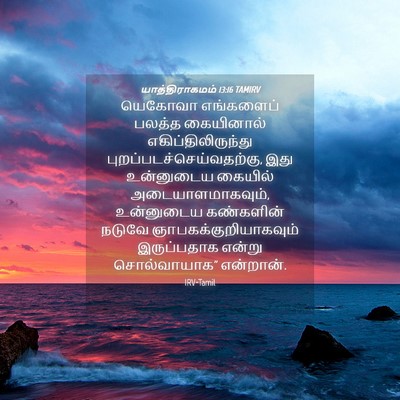 Picture 04 - யாத்திராகமம் 13:16 TAMIRV - யெகோவா எங்களைப் - Bible Verse Picture