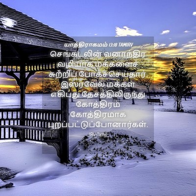 Picture 04 - யாத்திராகமம் 13:18 TAMIRV - செங்கடலின் - Bible Verse Picture