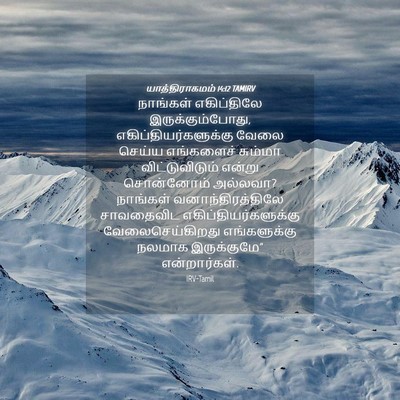 Picture 04 - யாத்திராகமம் 14:12 TAMIRV - நாங்கள் எகிப்திலே - Bible Verse Picture