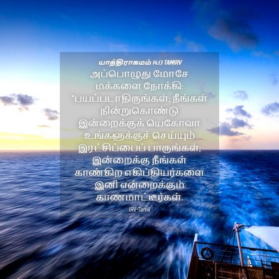 Picture 04 - யாத்திராகமம் 14:13 TAMIRV - அப்பொழுது மோசே - Bible Verse Picture