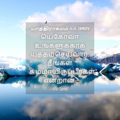 Picture 04 - யாத்திராகமம் 14:14 TAMIRV - யெகோவா - Bible Verse Picture
