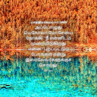 Picture 04 - யாத்திராகமம் 14:15 TAMIRV - அப்பொழுது யெகோவா - Bible Verse Picture