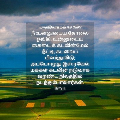 Picture 04 - யாத்திராகமம் 14:16 TAMIRV - நீ உன்னுடைய கோலை - Bible Verse Picture