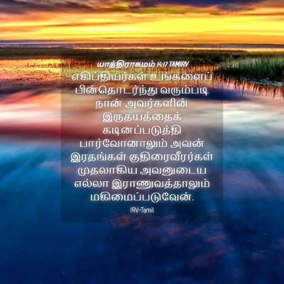 Picture 04 - யாத்திராகமம் 14:17 TAMIRV - எகிப்தியர்கள் - Bible Verse Picture